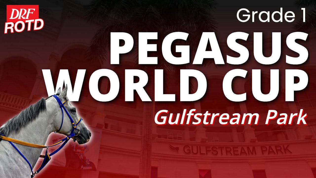 Скачки G1 Pegasus World Cup | Прогнозы и анализ | Субботняя гонка дня по версии DRF | 24 января 2...