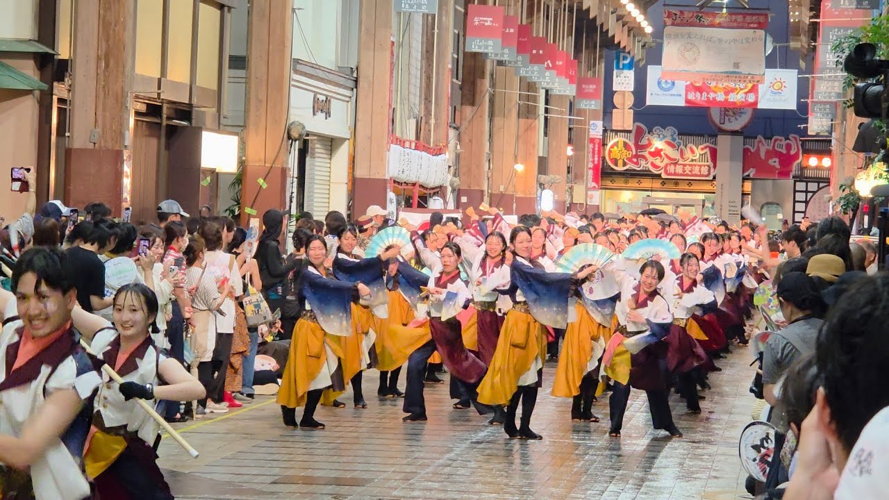 早稲田大学 東京花火｢彩の輪｣ （高知よさこい祭り 2025 ) はりまや橋競演場