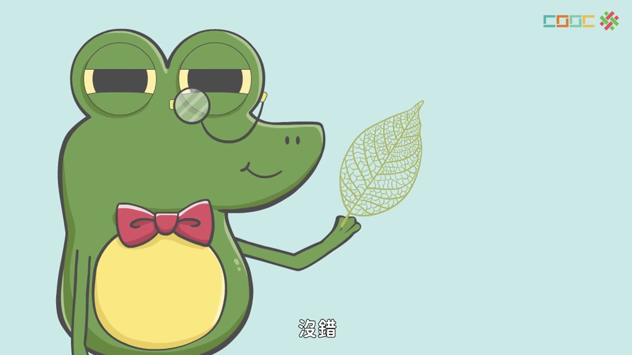108新課綱｜七上生物｜【討論】植物體運輸構造的觀察