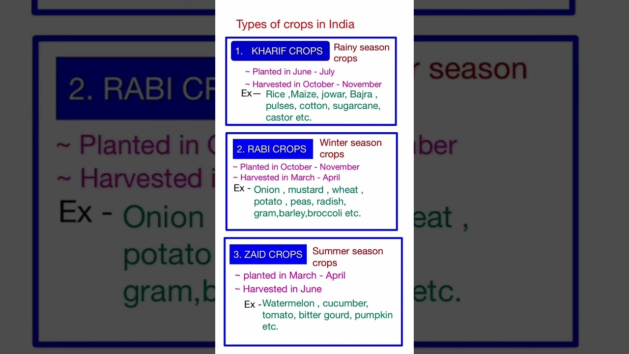 Types of crops in India