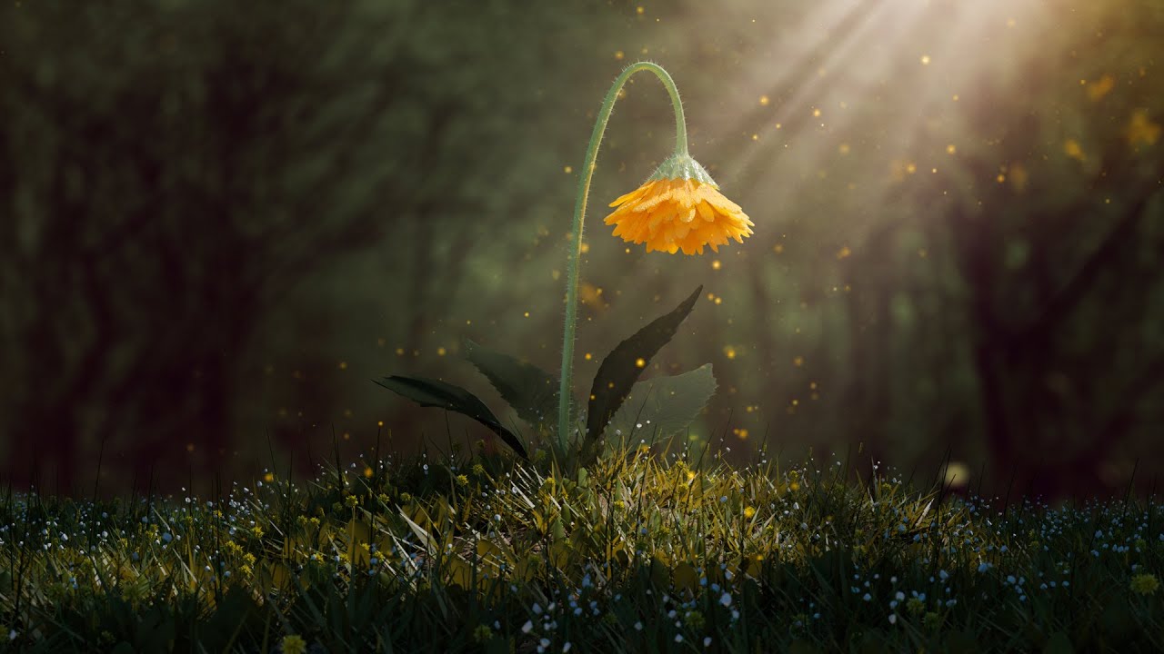 Making A Sad Flower In Blender 2 8 Timelapse