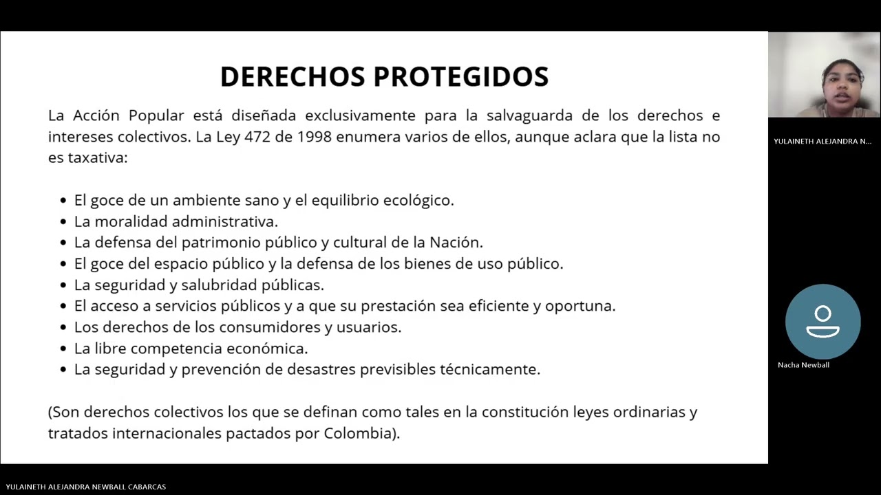Acción popular y grupo