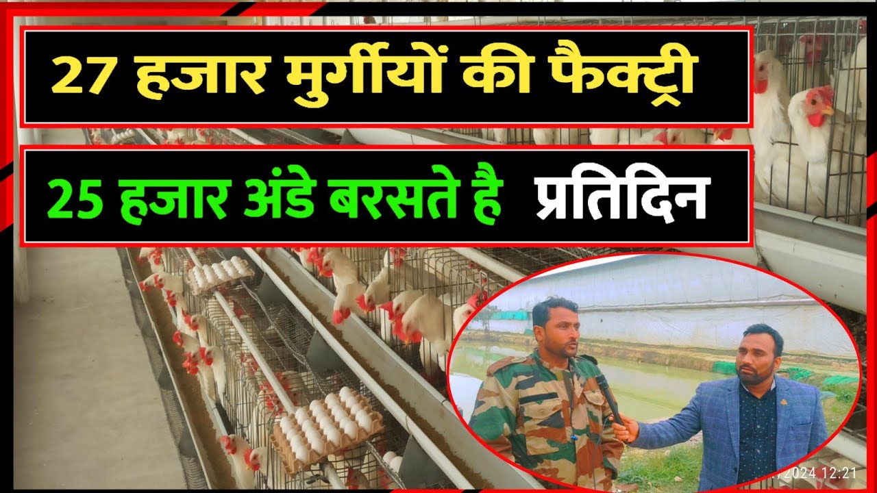 27 हजार मुर्गीयों का लेयर फार्म | Layer Farming | Layer Poultry Farming In India