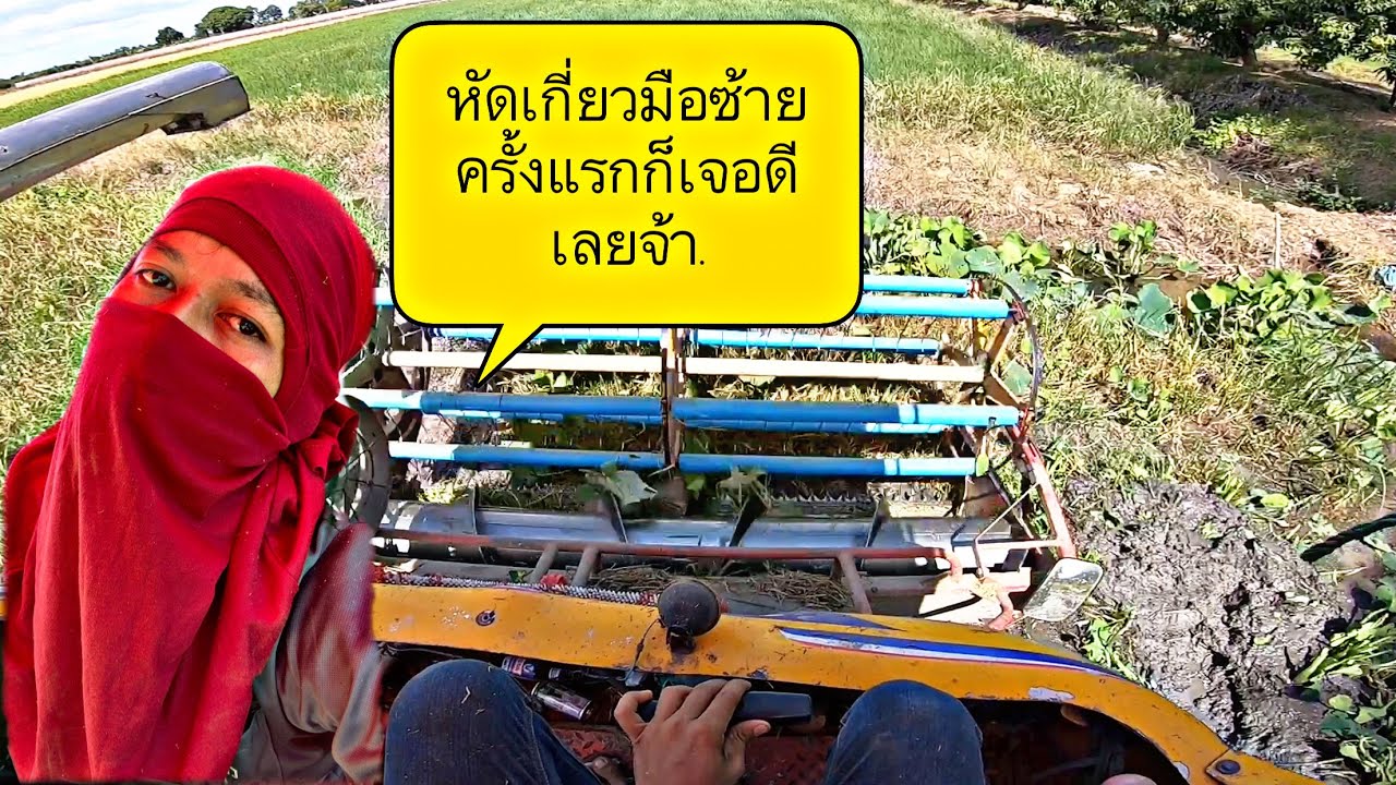 รถเกี่ยวข้าวจ้าวช้างไวไฟ ep.281 หัดขับมือซ้ายครั้งแรกกะลุยโหล่มเลยจ้า