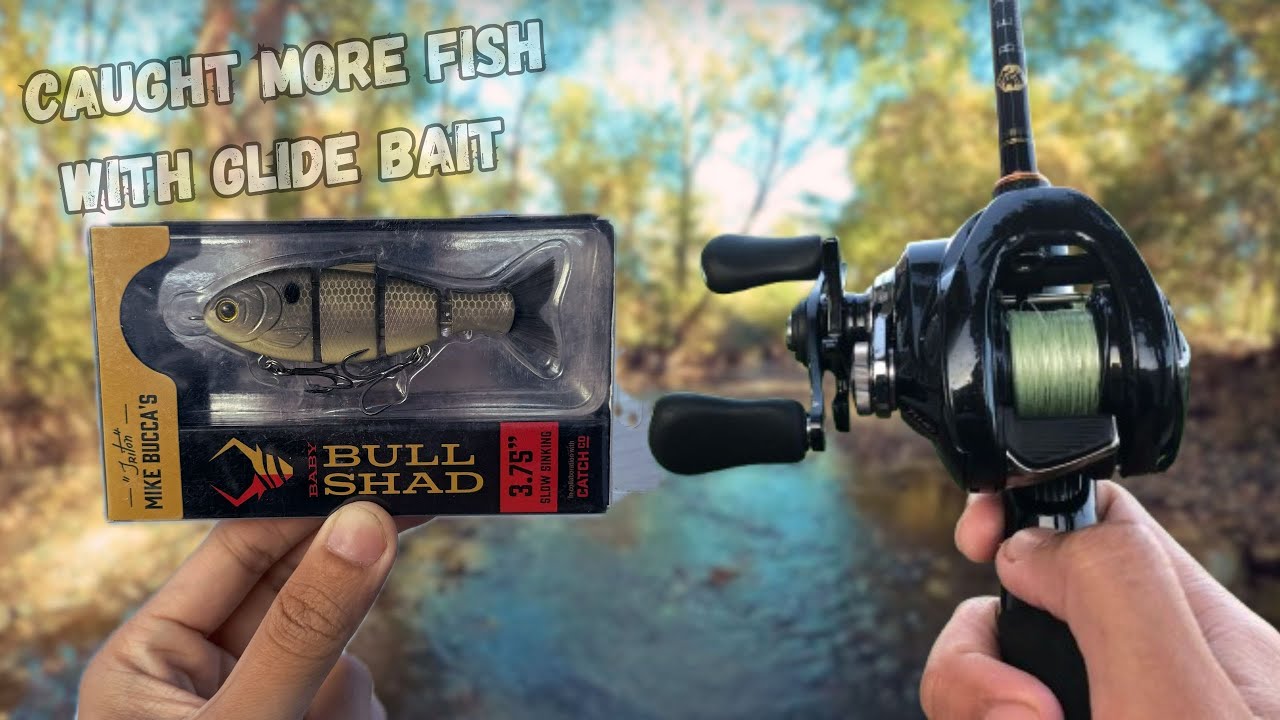 Fall Jointed Swimbait Fishing: Cold Water Reaction Bait