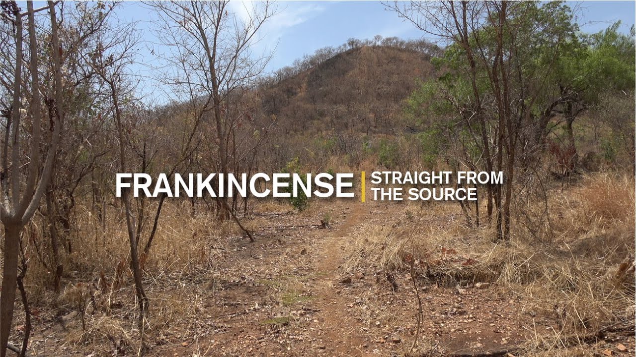 Straight From the Source: Frankincense, Ethiopia
