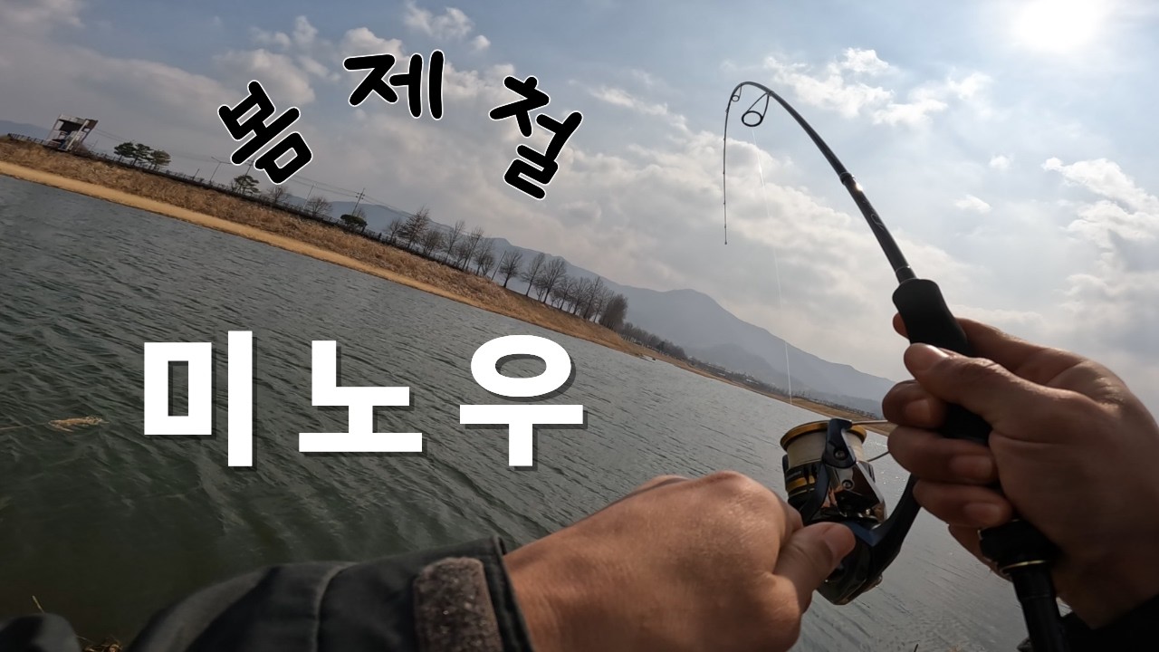 봄 제철 미노우! 밑걸림은 극뽁?하기