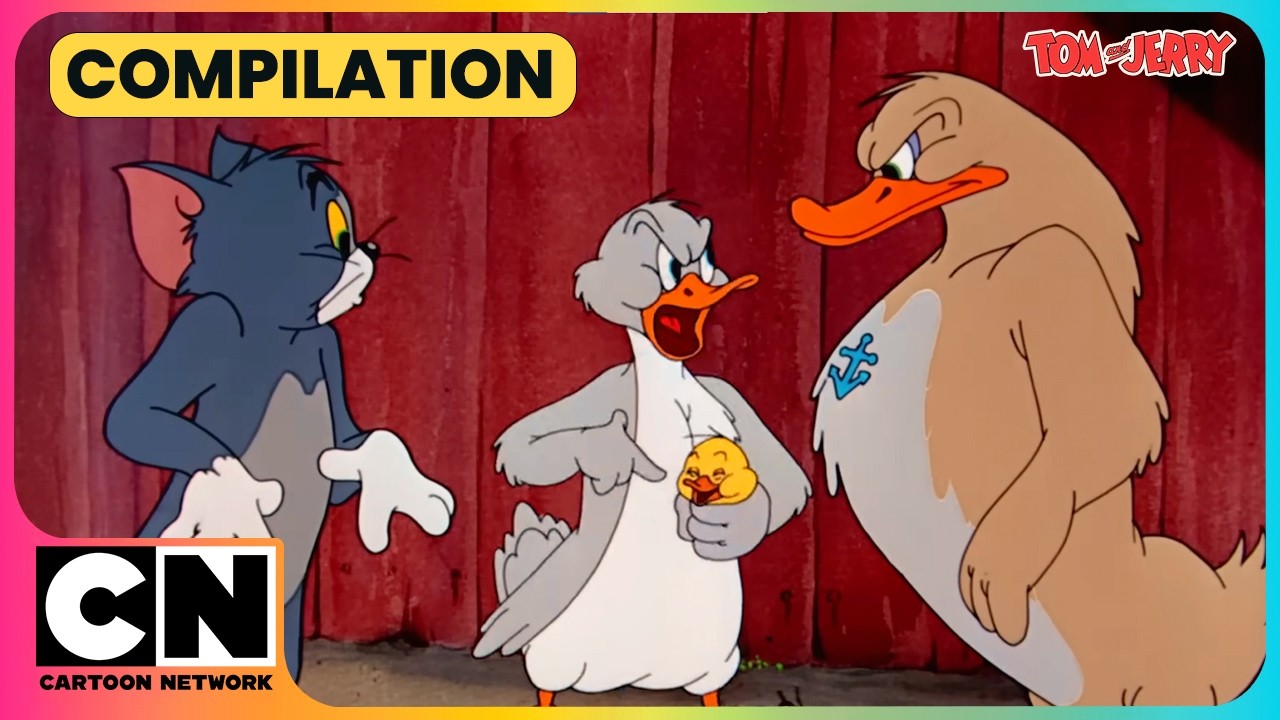 The Ducks ATTACK Tom!😬| Tom & Jerry 😺🐭| Cat and the Mouse Cartoon | Duck Special🦆| @cnindia