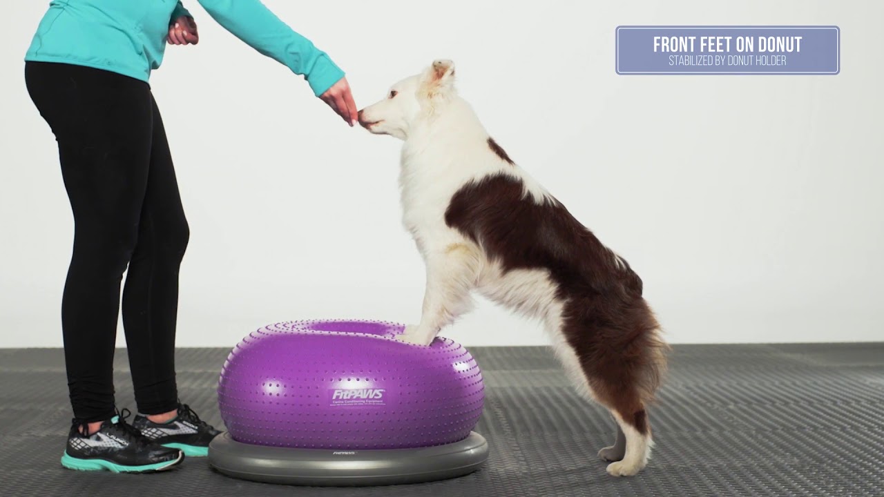 Fitpaws trax donut with donut holder - Morin France