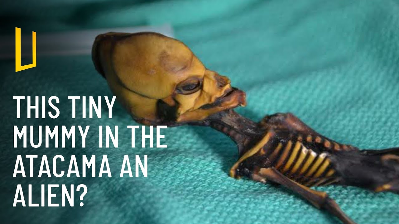 The Atacama Skeleton Found in La Noria, Chile