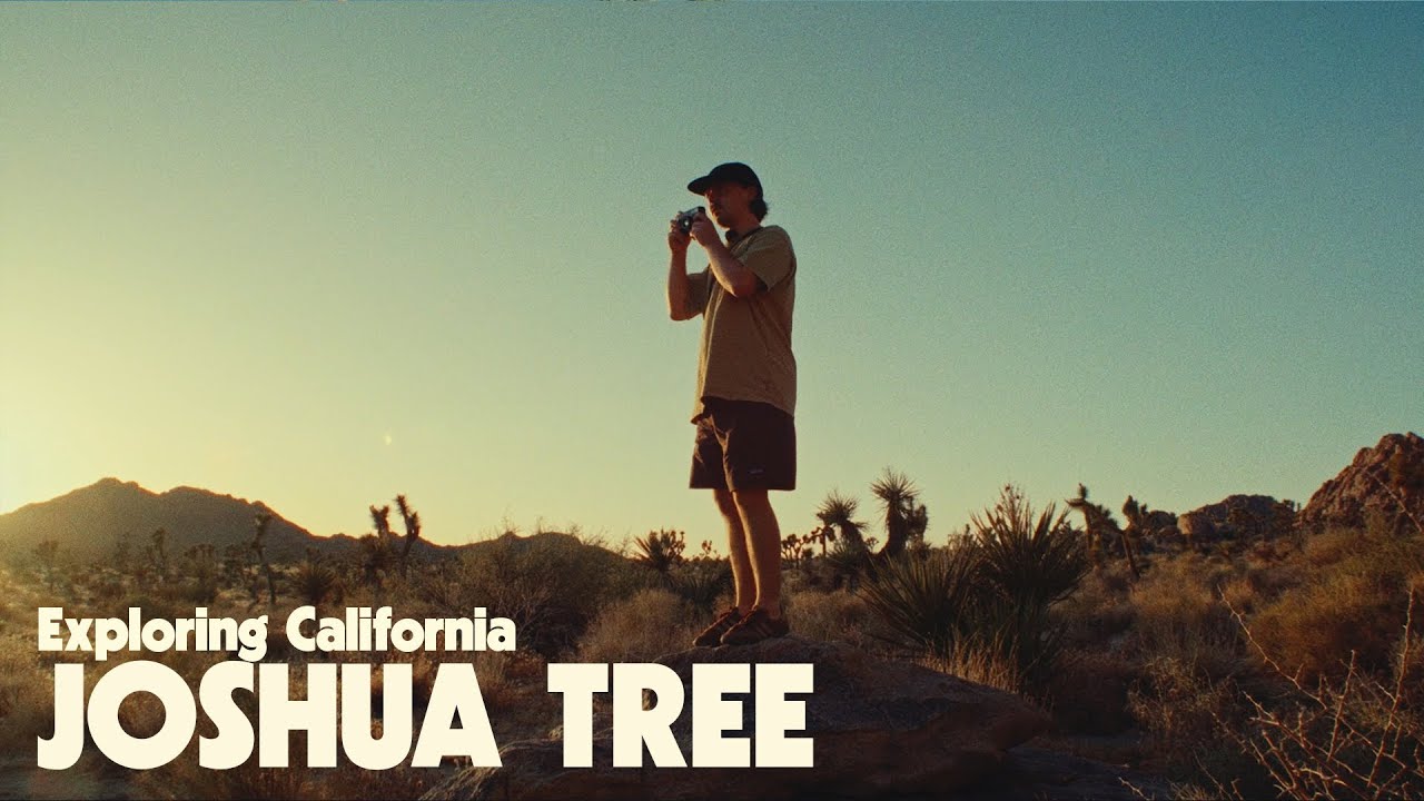Joshua Tree is just something else (Cinestill 400D)