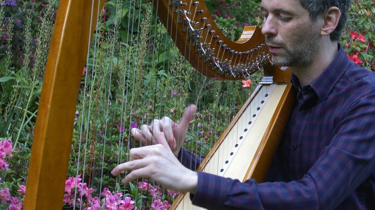 Handel's Harmonious Blacksmith - music video from Harpist in the Wild