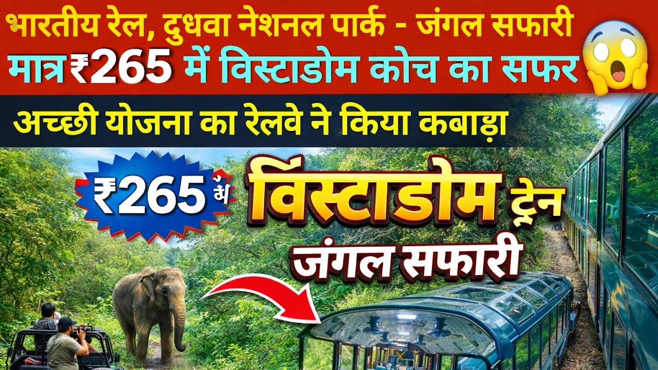 Vistadome Coach Train Journey  Jungle Safari Through Dudhwa National Park | Tiger Reserve | Mailani