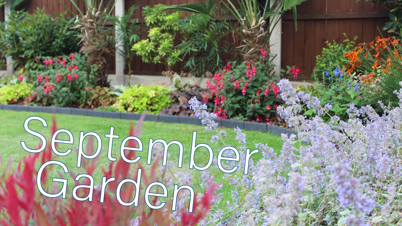 September garden tour UK in my walled garden 2022 flowers & shrubs