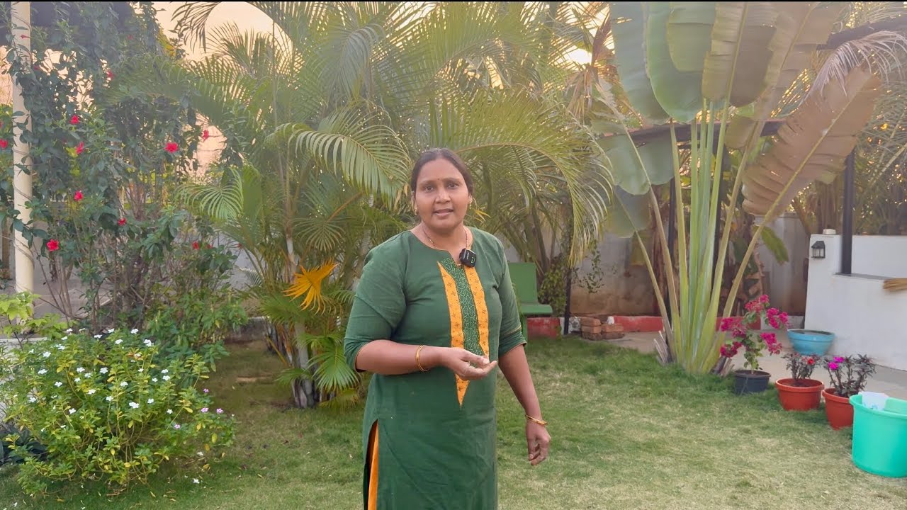 Life at Farmhouse  | అంటీ ఎందుకు రావడం లేదు | 🌾 Harvest & Chit Chat | ఫార్మ్‌హౌస్ పనుల మాటామంతీ