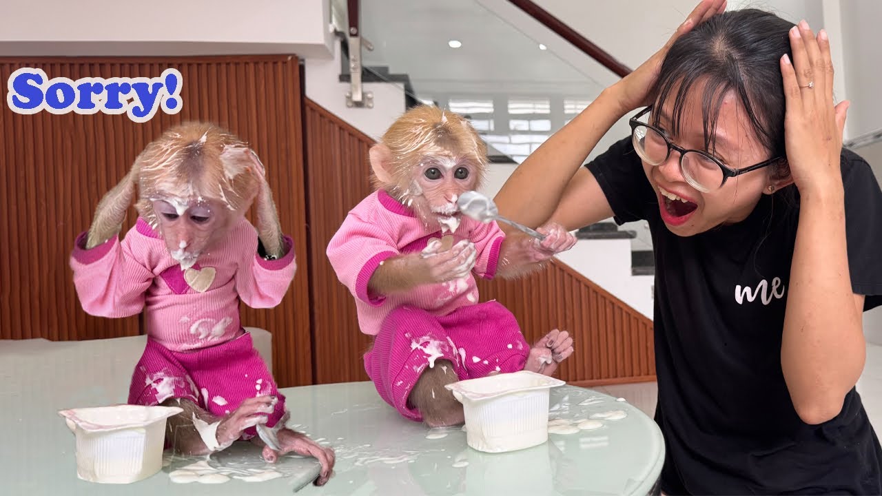 Lucky secretly ate yogurt and got a hilarious ending!