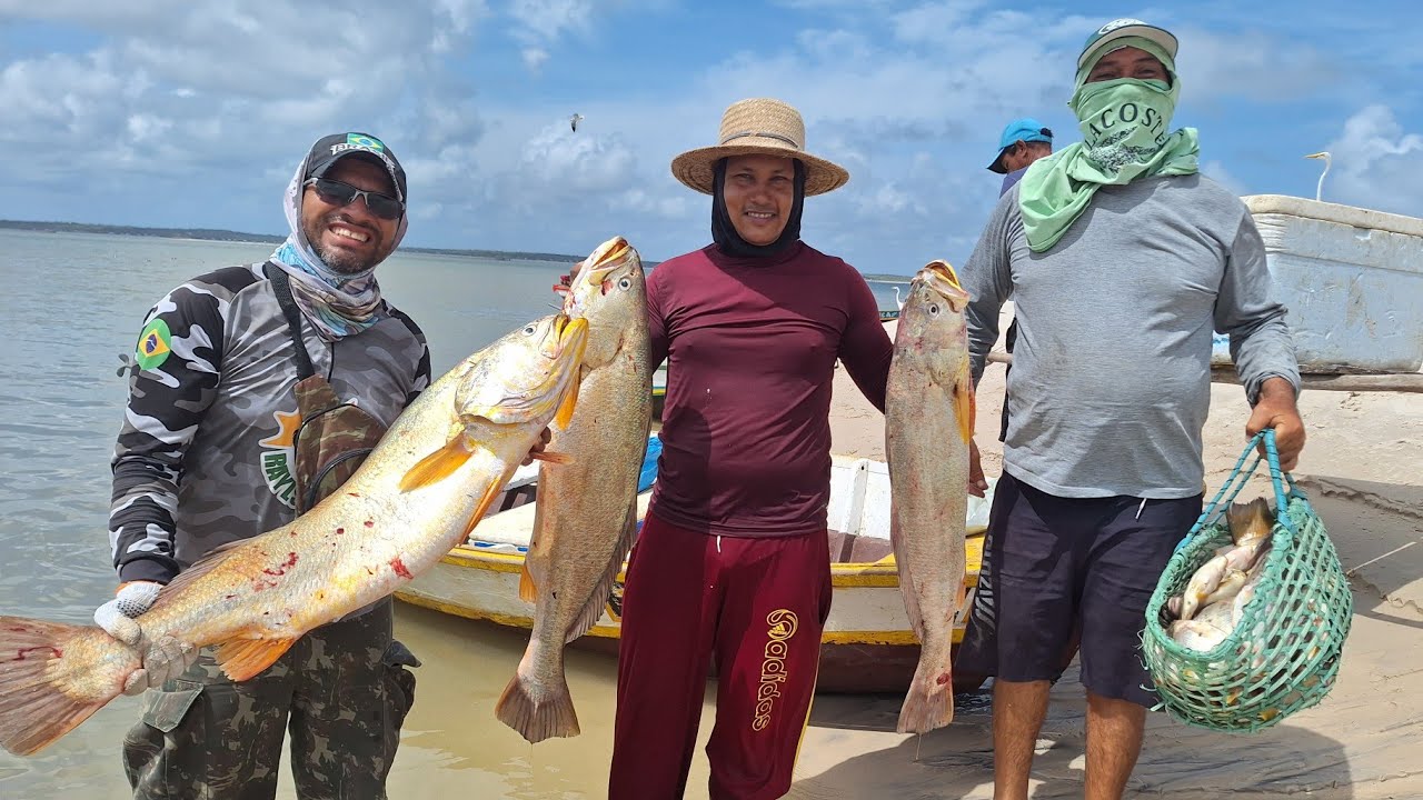 VEJAM o cotidiano dos pescadores na praia da Croa Nova em Pirabas/PA
