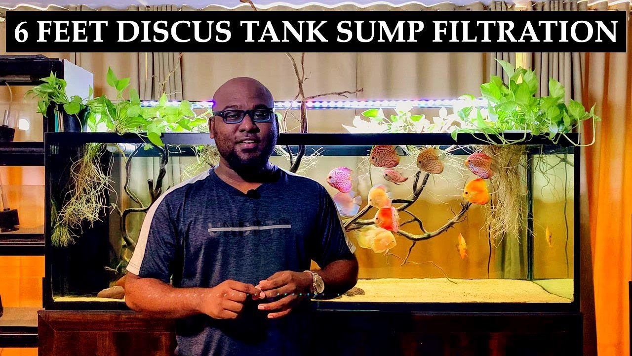 DISCUS TANK FILTRATION SETUP | SUMP FILTRATION SYSTEM | CHENNAI AQUARIUM