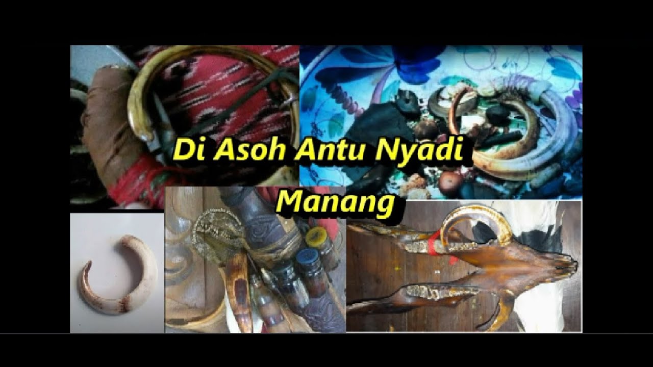 Di Asoh Antu Nyadi Manang.
