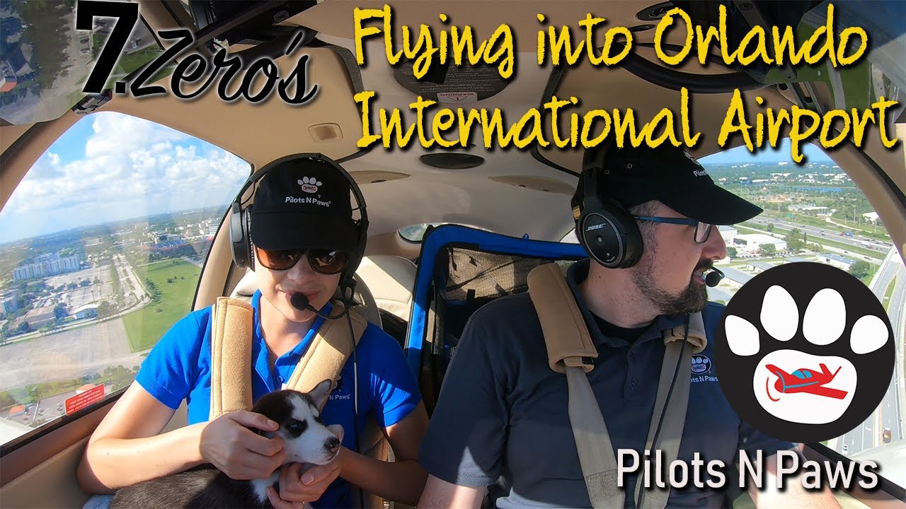Flying into Orlando International Airport - Pilots N Paws