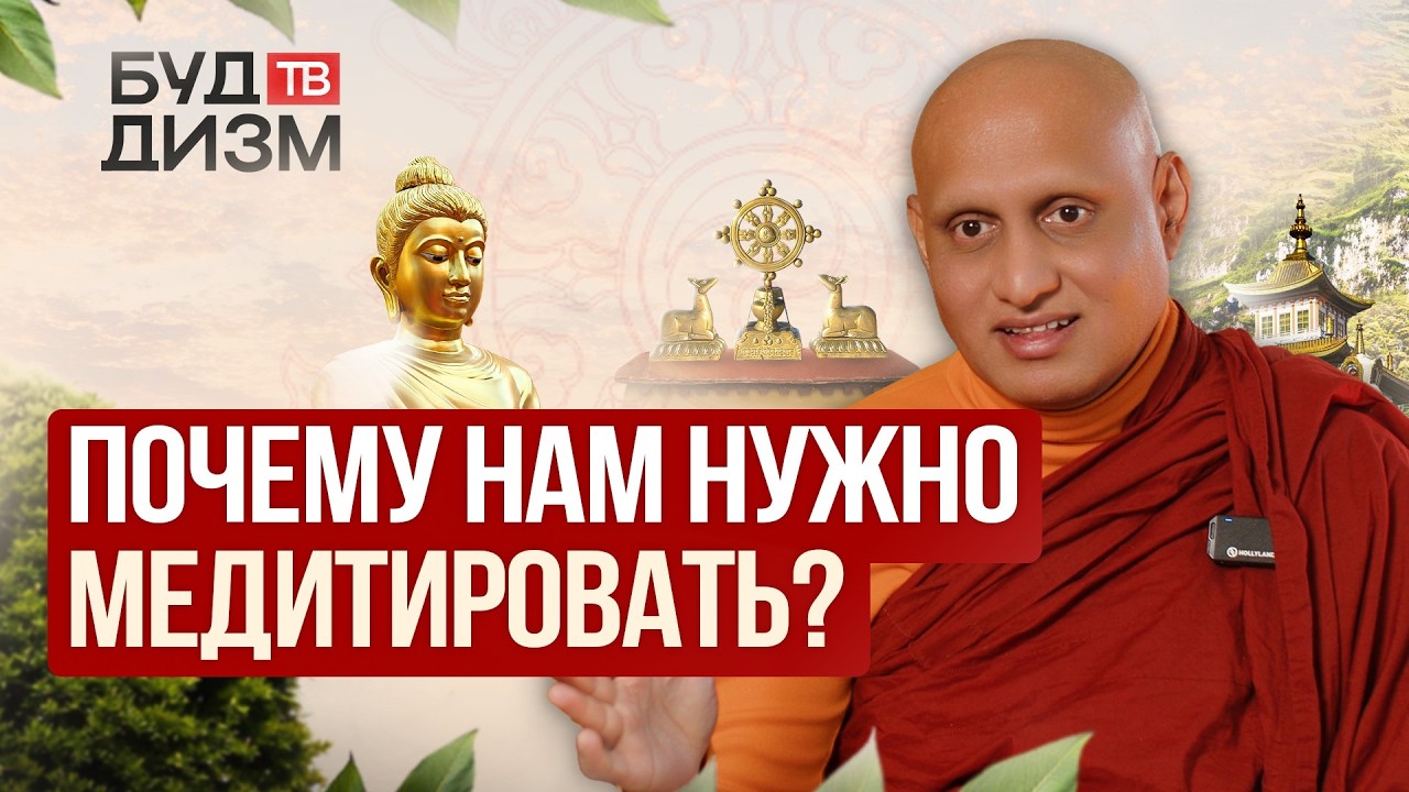 Выпуск 81 — «Почему нам нужно медитировать?»