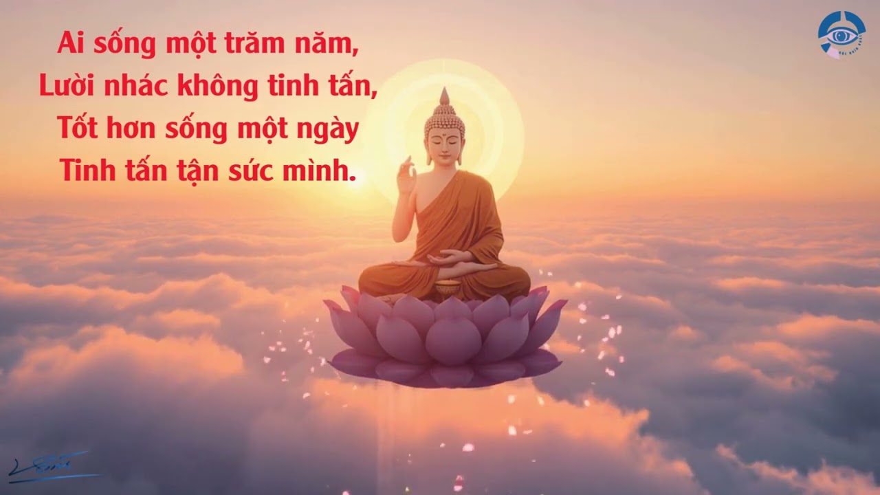 Một ngày tinh tấn cho ra sống, hơn trăm năm chỉ tồn tại