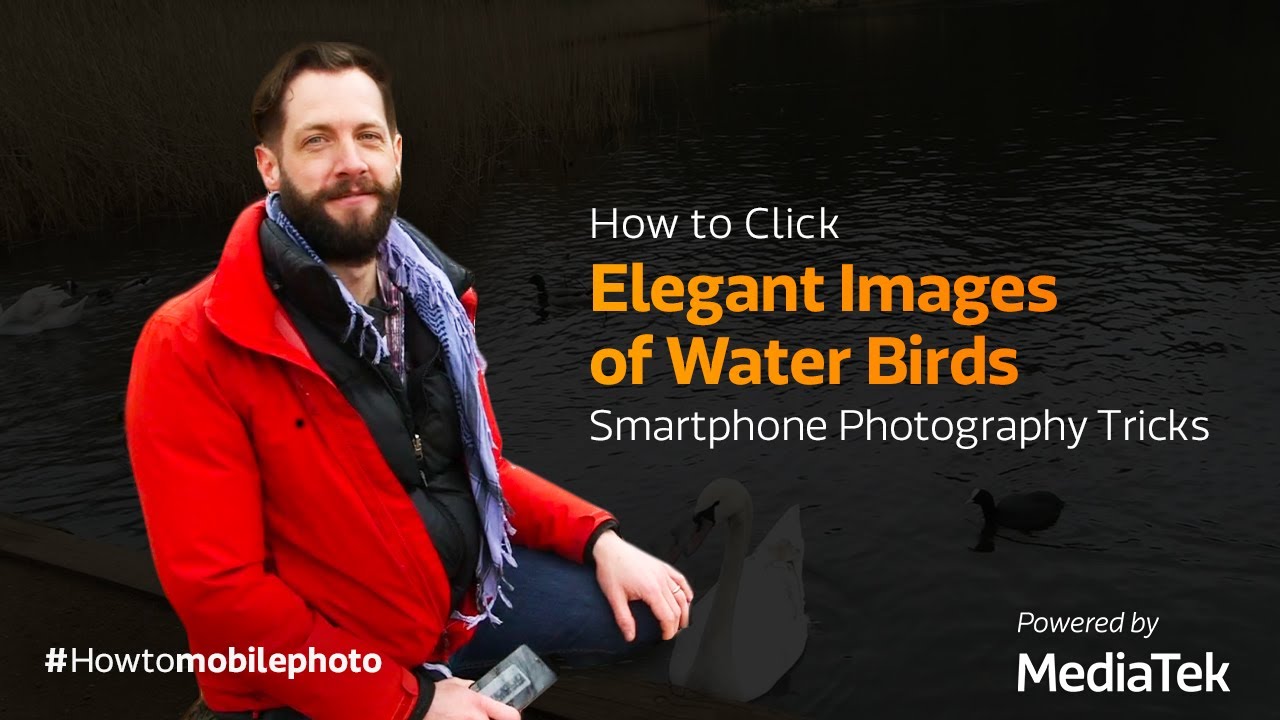 How to Click Elegant Images of Water Birds | Smartphone Photography Tricks
