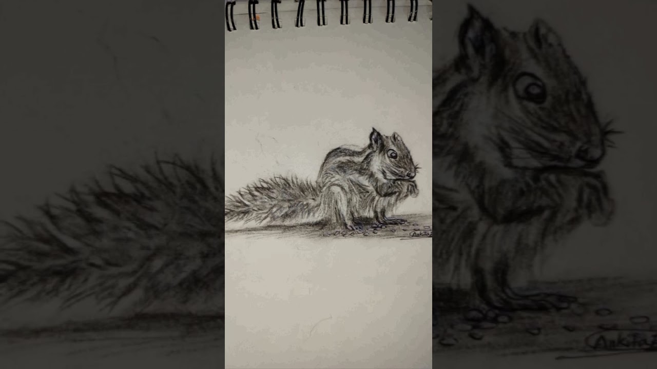 please like, shere, and subscribe 💛 @ankita's art....