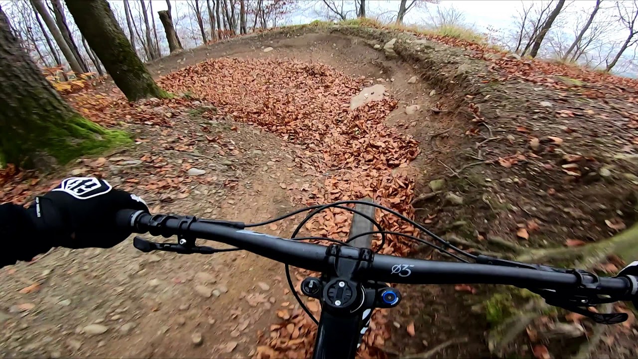 Üetlibergtrail | Canyon Torque AL 6.0