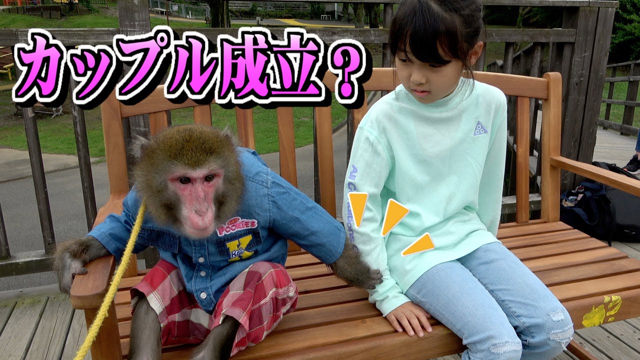 ついに人間の彼女ができてしまったお猿のカイくん