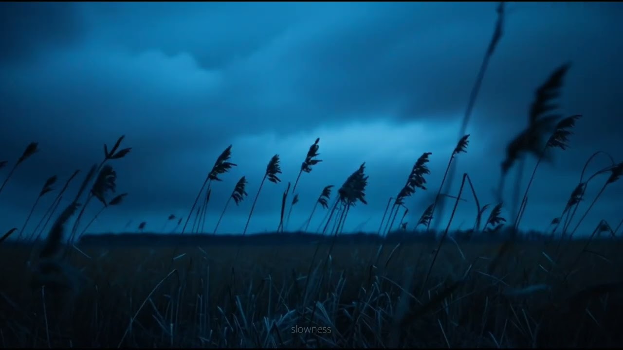 Calm Piano Music for Night Focus & Relaxation | Cold Wind at Night