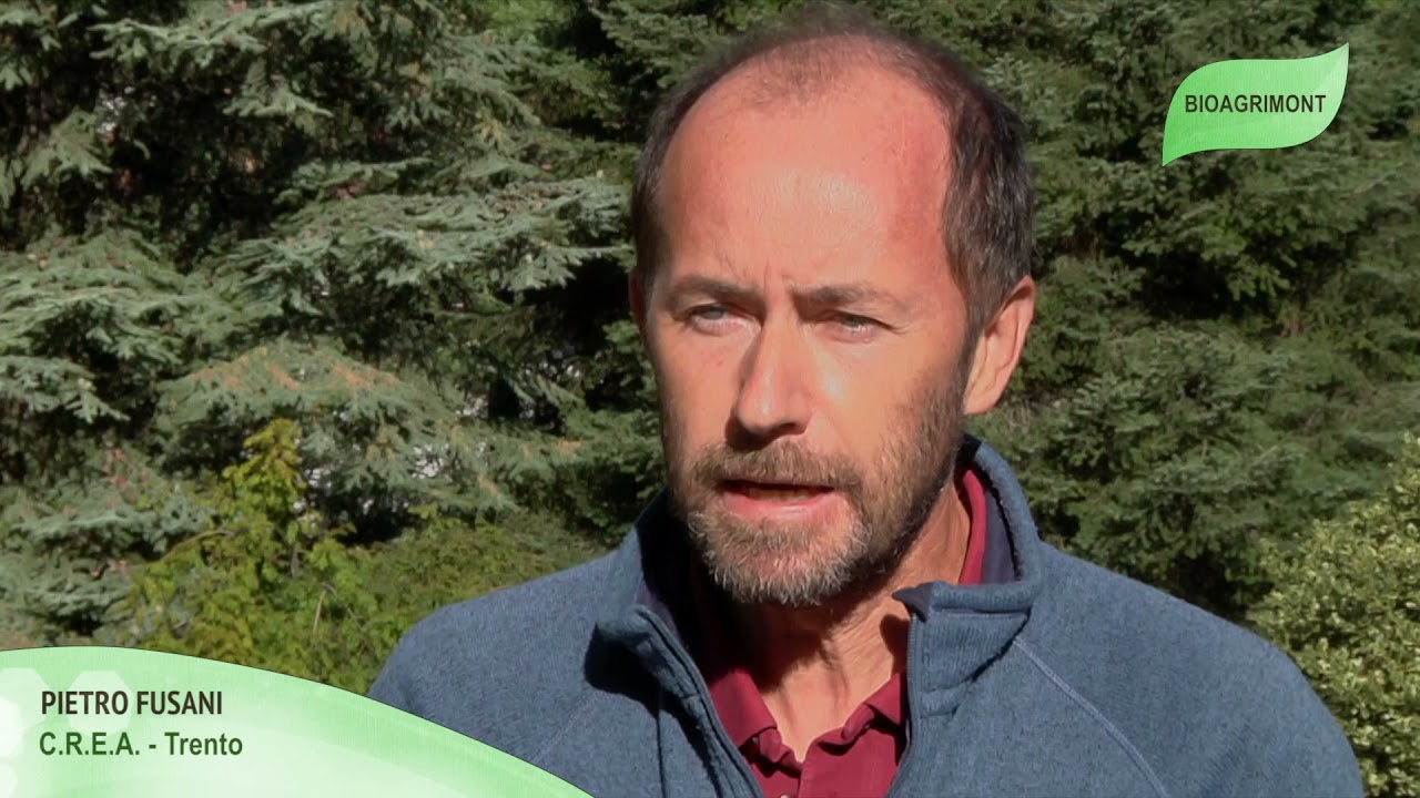 Progetto Bioagrimont - Domesticazione piante alimentari e officinali di montagna &ndash; P. Fusani, CREA