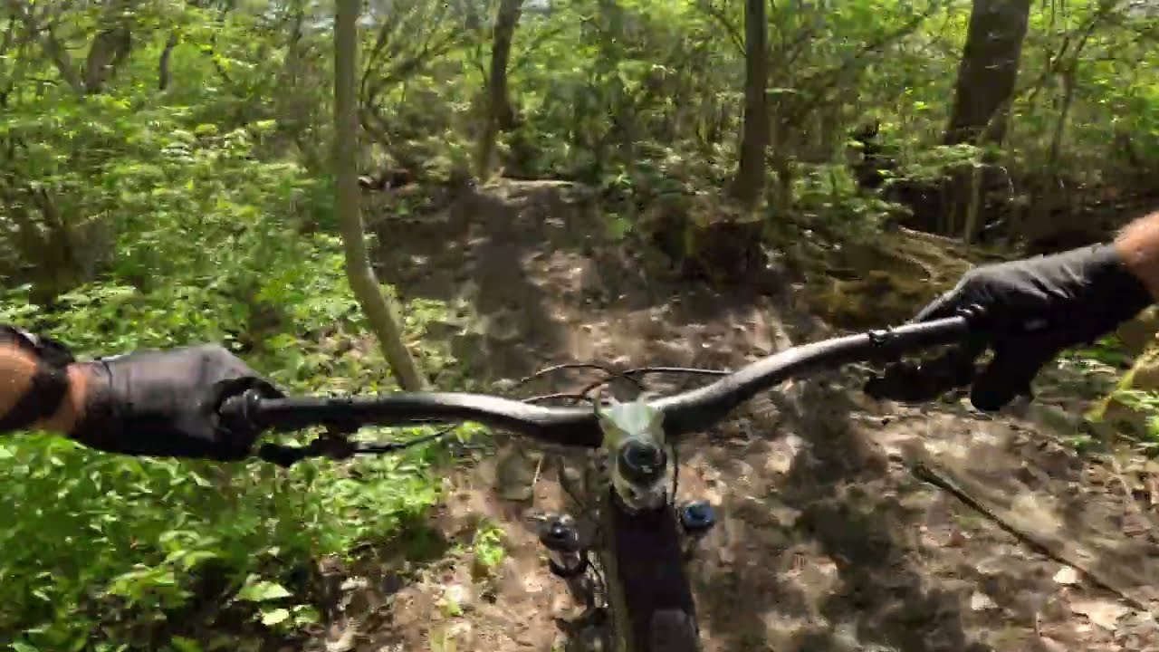 Palos Forest Preserve - XX Extension / Bloodshed 4K