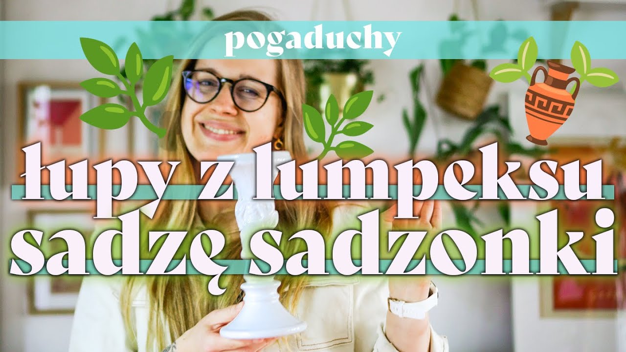 🏺 🌱 🐰 Nowe łupy z lumpeksu i sadzonki pnączy | second hand | climbing plants