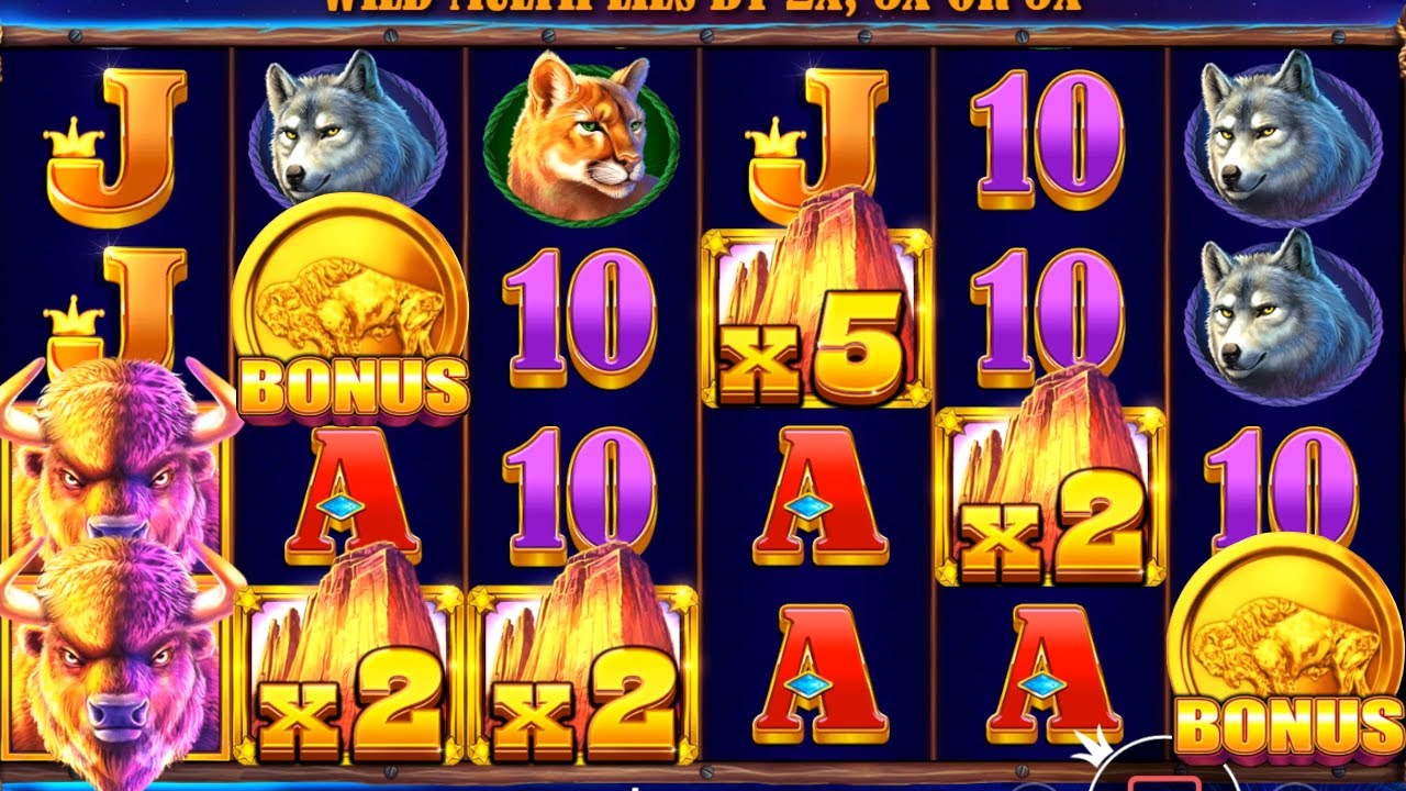 Buffalo King Shows Up With Some Big Wins and Multis