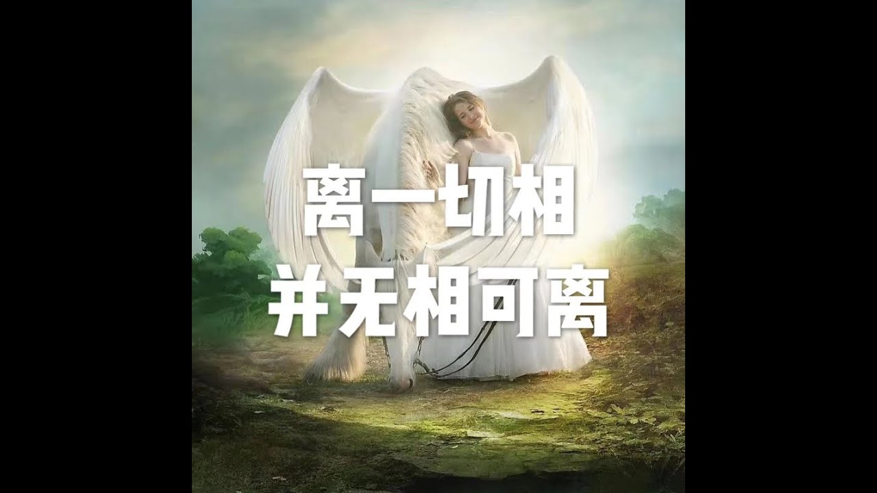 201908 离一切相　并无相可离51292