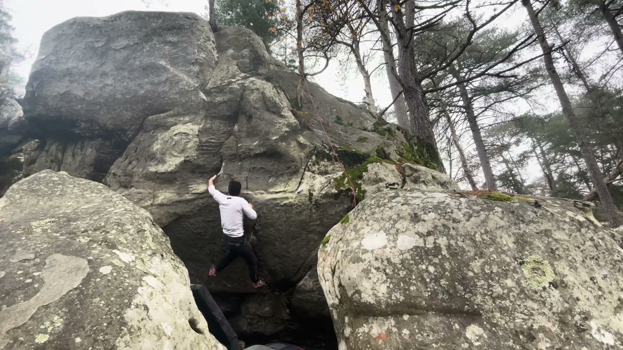 Mr Oizo [7A] - Buthiers Canard