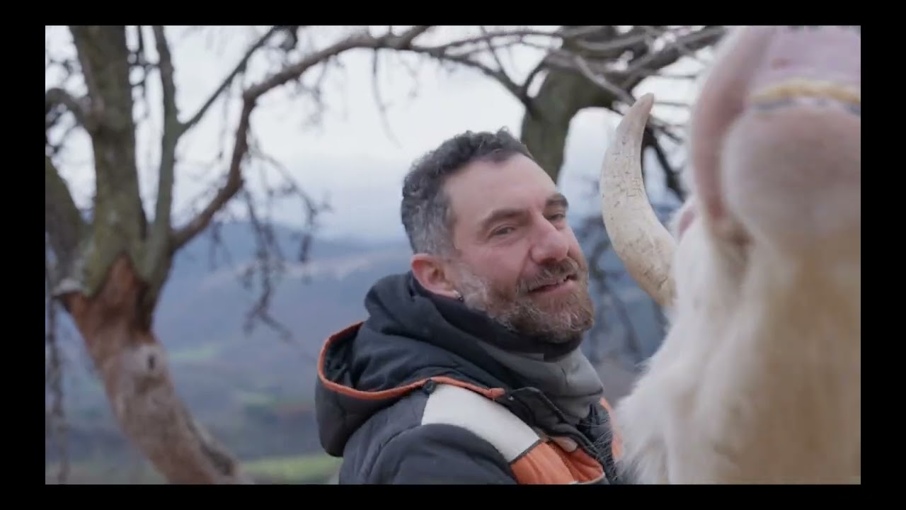 Animal sanctuaries as models for social and ecological transformation - Simone Scampoli [IARC2025]