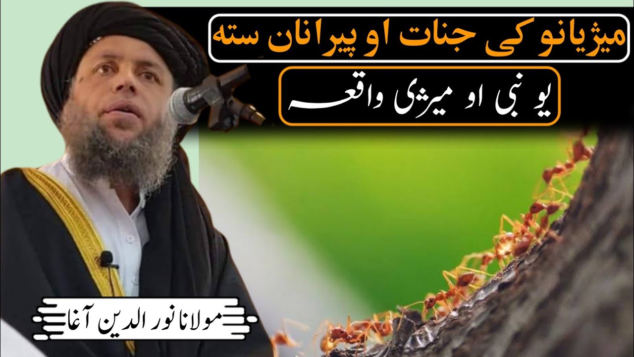 | Maziano Ki Jnat Ow Peranan Sta, میژیانو کی جنات او پیرانان ستہ | Mulana Nor Udin Agha اسلامی علماء
