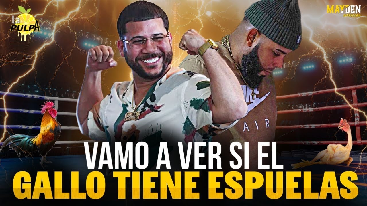 Vamos a Ver si Gallo The Producer tiene Espuelas