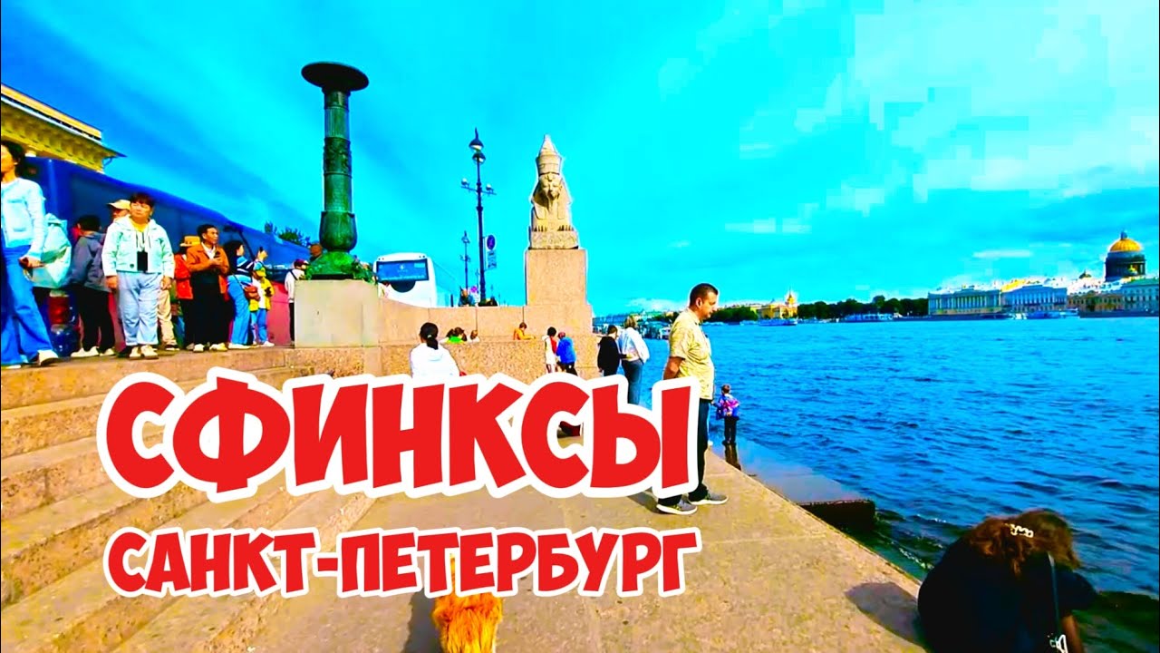 Сфинксы, Санкт Петербург