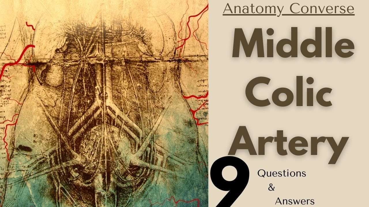 Middle Colic Artery Anatomy 9 QA
