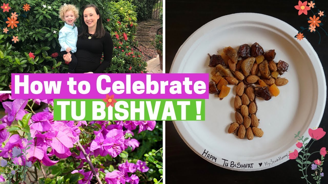 CELEBRATING TU BISHVAT!!! Tu Bishvat Seder Crafts, Songs, Hiking!