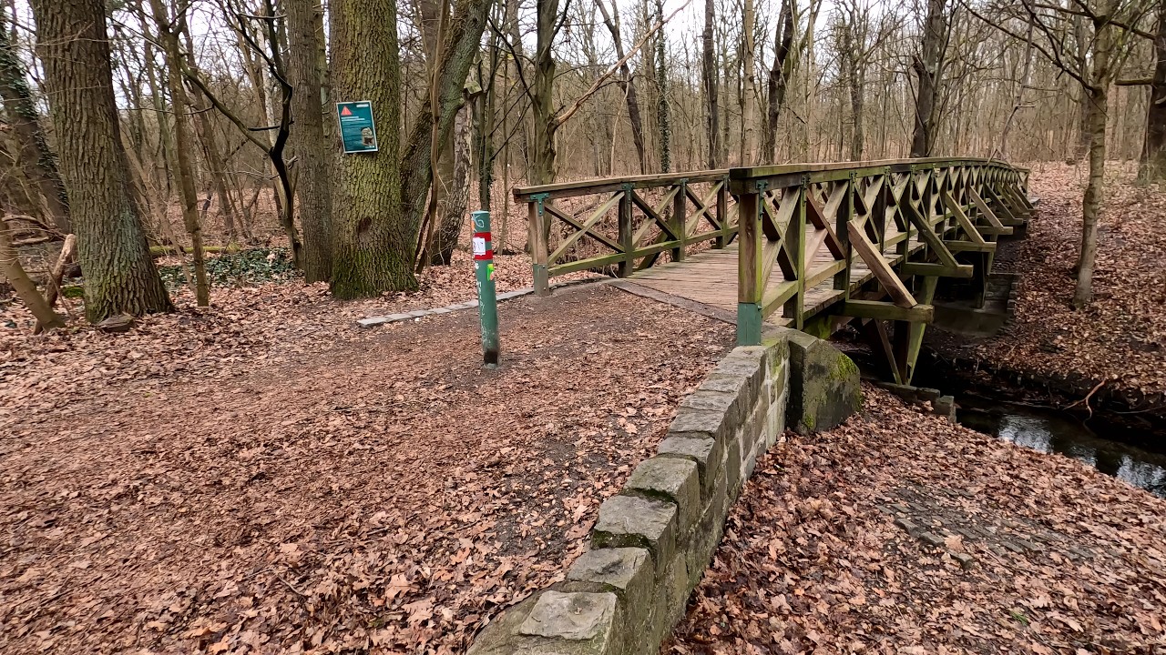 20 Kilometer-Tour bis zum Wannsee mit 2 Kamera-Oldies