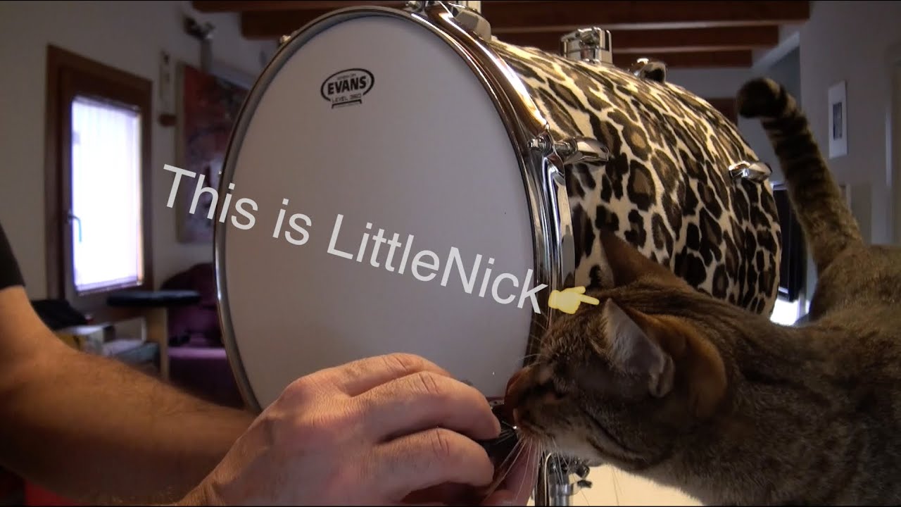 DRUM KICK 14"