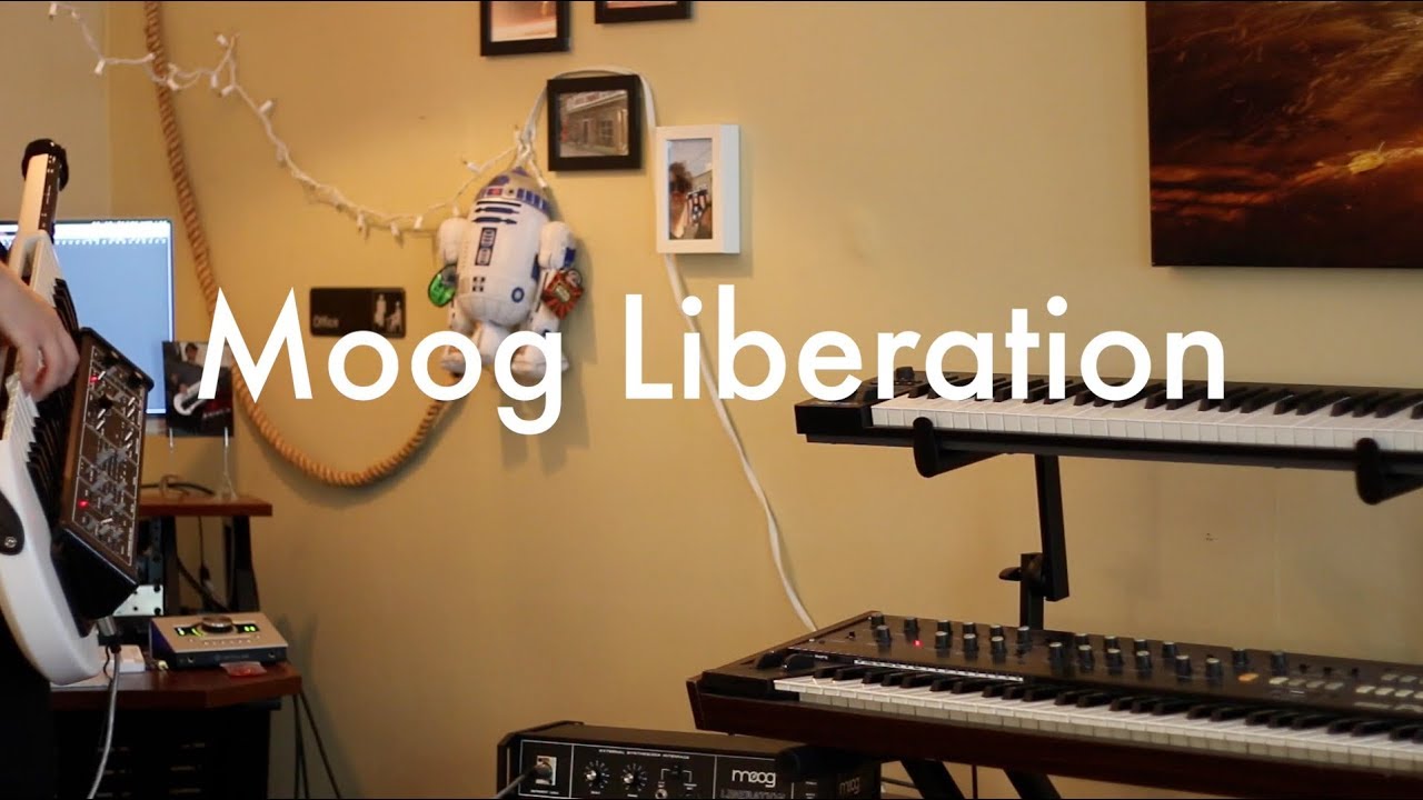 Moog Liberation (Demo 1)