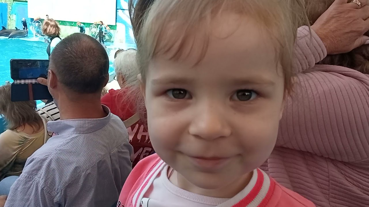 Дельфинарий НЕМО Одесса. Дельфины