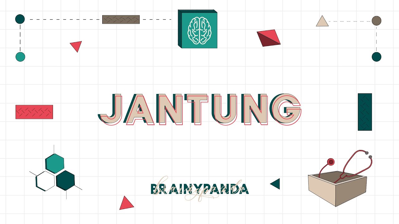 Sistem Kardiovaskular: Jantung | Ilmu Biomedik Dasar | Brainy Panda