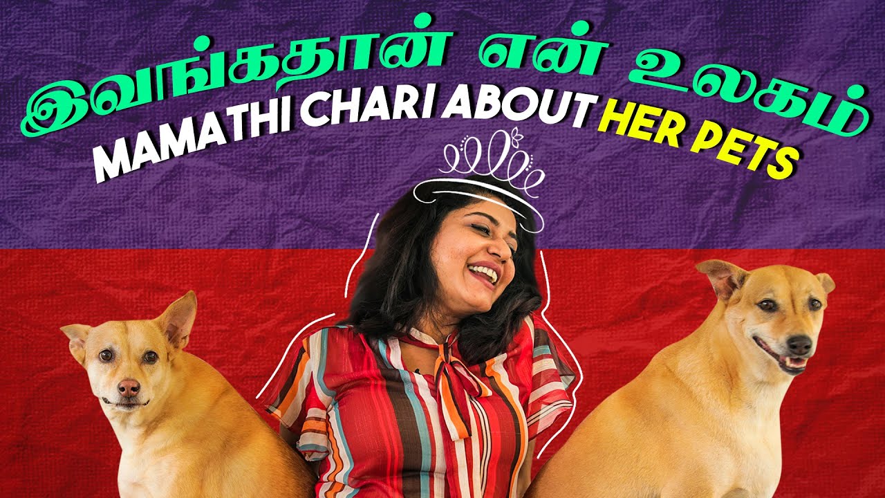 யானையை தவிர எல்லாமே வளத்திருக்கேன் | Pet Talks #1 | Blacksheep Go