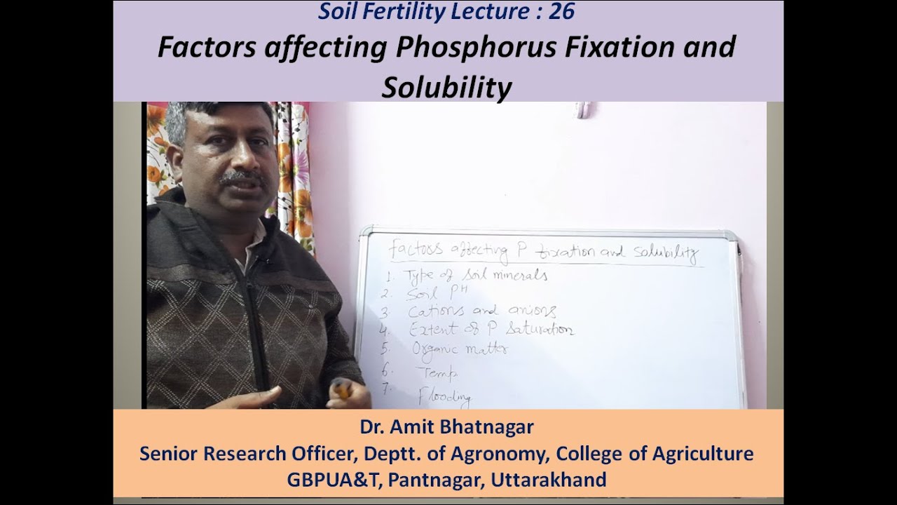 Factors affecting Phosphorus Fixation and Solubility